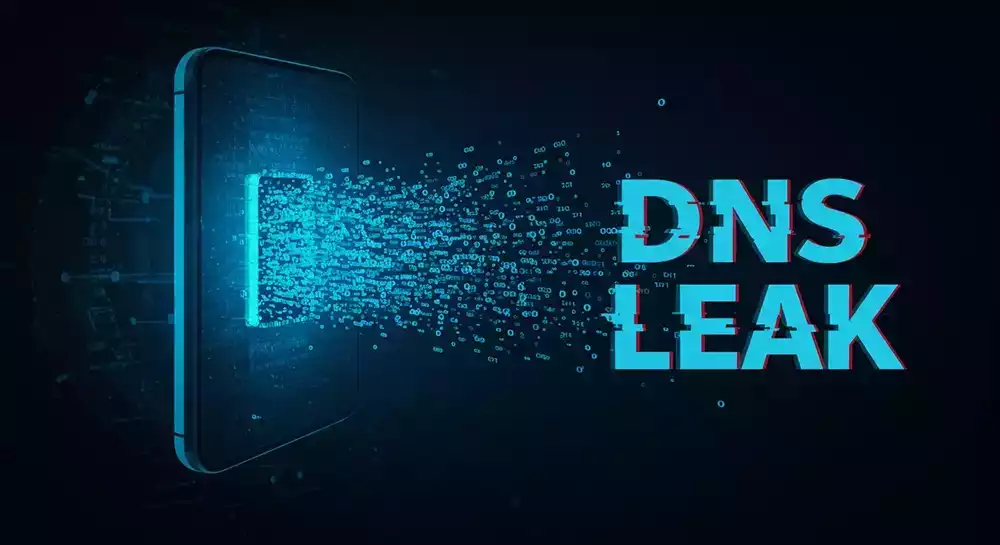 DNS Leak Test visual