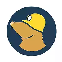 Mullvad DNS Icon