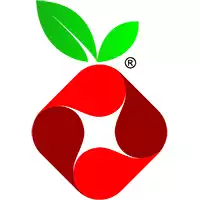 Pi-hole Icon