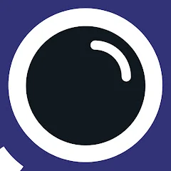 Surveillance Report Icon
